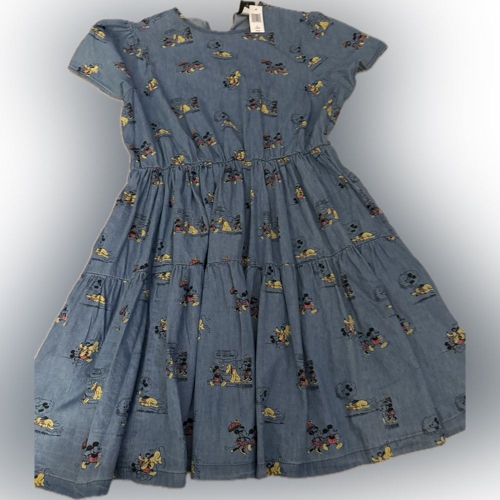 Authentic Disney women’s dress.